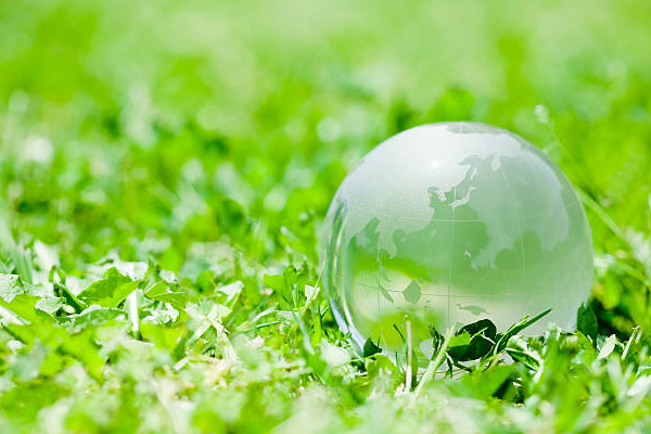 Construction of  Sustainable Social Environment